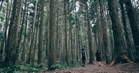 油逻山2026. 4/22. 6:30am